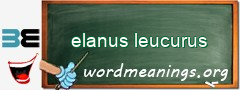 WordMeaning blackboard for elanus leucurus